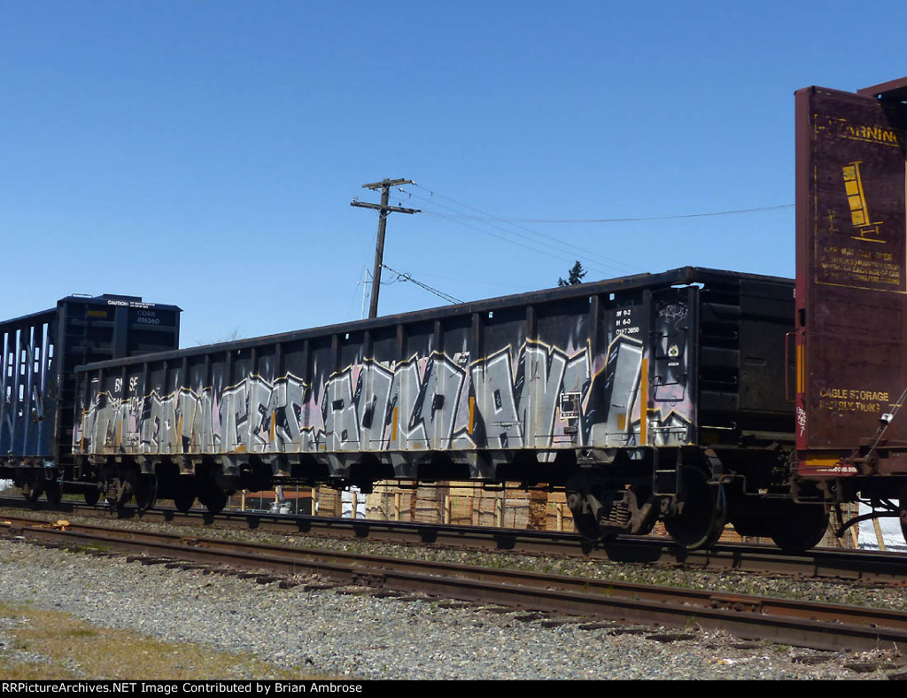 BNSF 519401